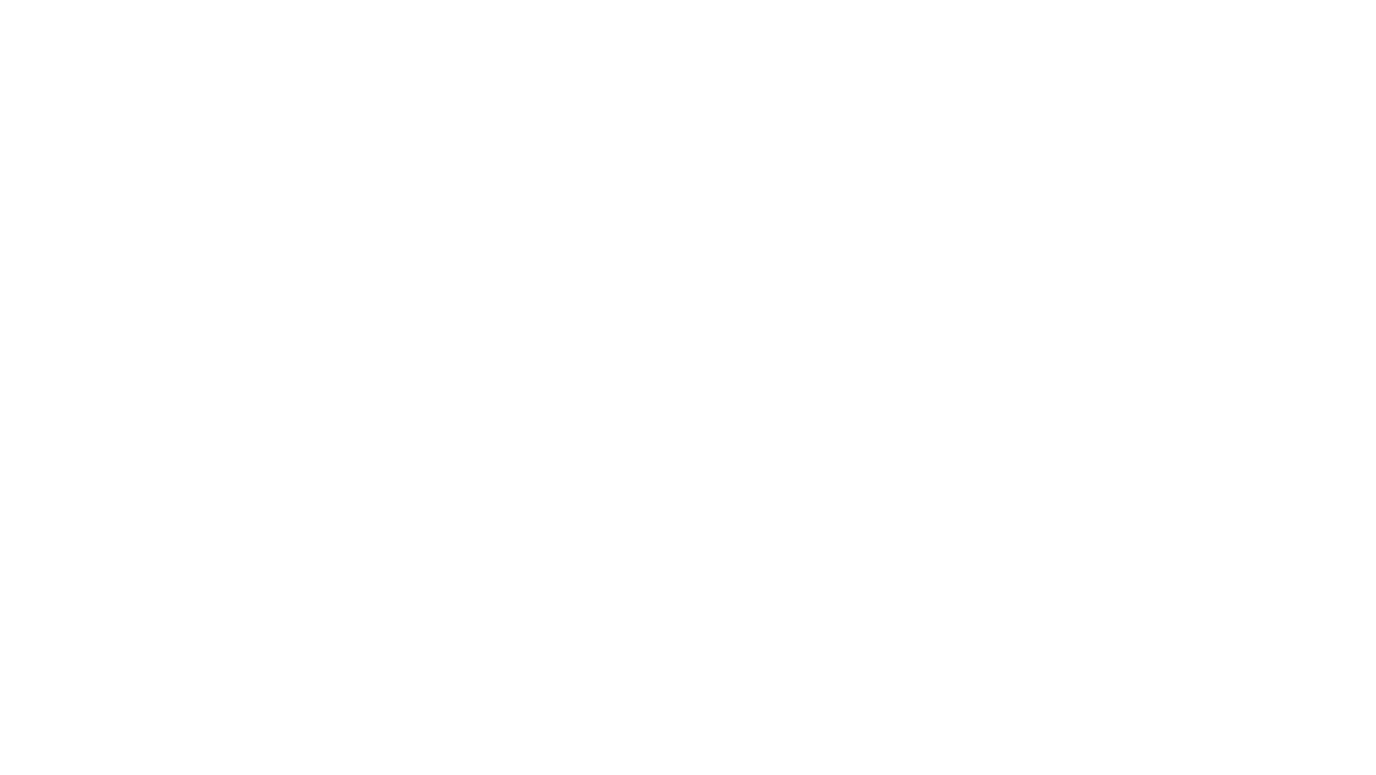 BAERNSTATT_Logo_4c_neg